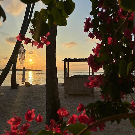 Samura Maldives Guest House Thulusdhoo ภายนอก รูปภาพ
