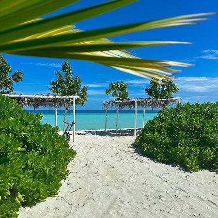 Samura Maldives Guest House Thulusdhoo ภายนอก รูปภาพ