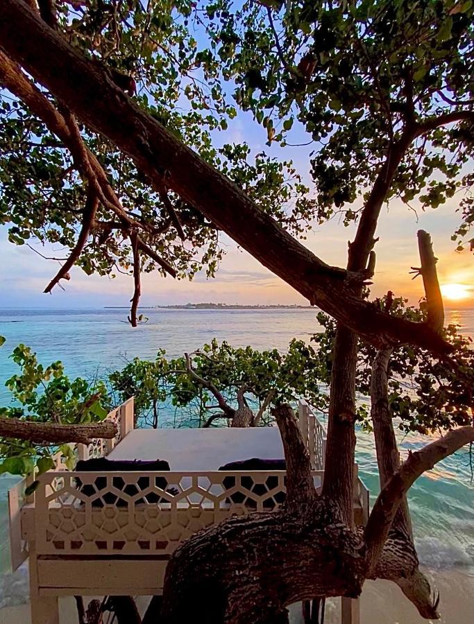 Samura Maldives Guest House Thulusdhoo ภายนอก รูปภาพ
