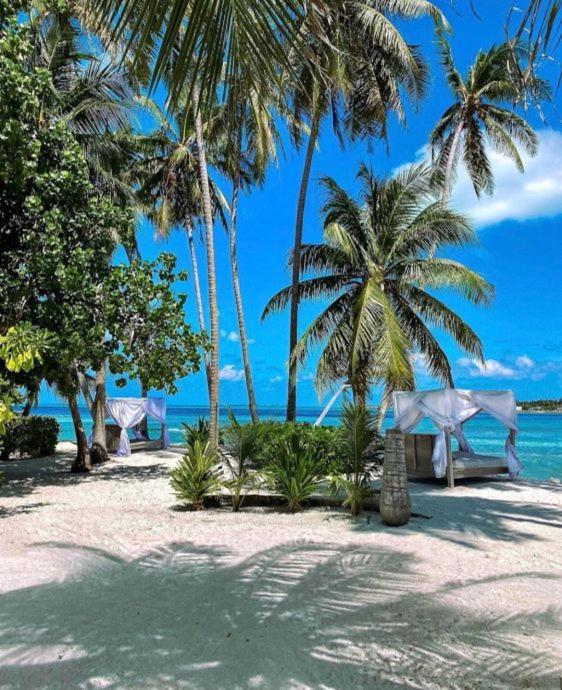 Samura Maldives Guest House Thulusdhoo ภายนอก รูปภาพ