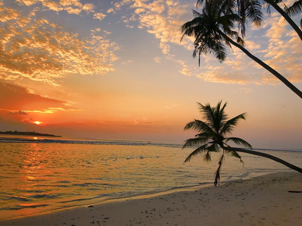 Samura Maldives Guest House Thulusdhoo ภายนอก รูปภาพ
